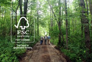 BCG tham gia vào lĩnh vực phát triển lâm nghiệp, phát triển nguồn tài nguyên gỗ rừng trồng