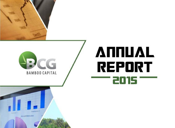 BCG Annual Report 2015