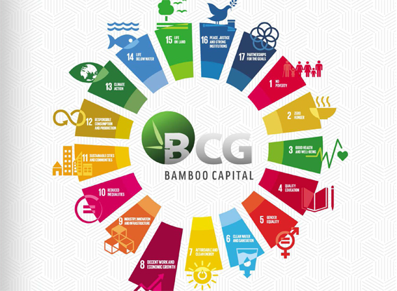 Báo cáo phát triển bền vững BCG 2019