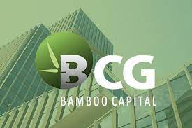 BCG giải trình cổ phiếu tăng trần 5 phiên liên tiếp do cung cầu thị trường