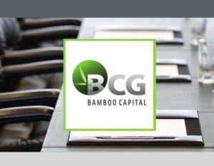 Bamboo Capital Introduction clip